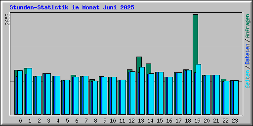 Stunden-Statistik im Monat Juni 2025